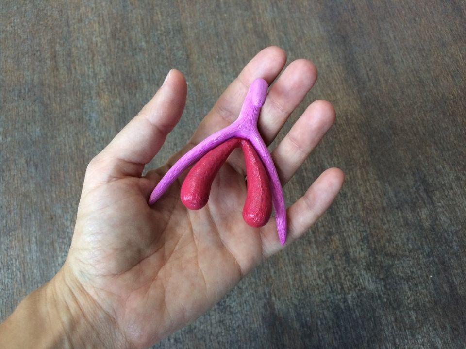 905932-clitoris2